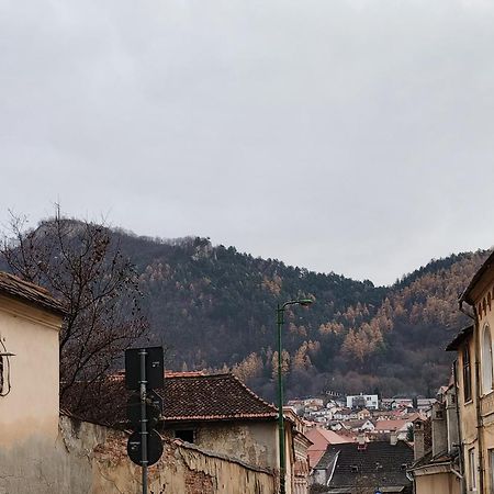 Golden Greens Studio - Mountain Scenery Braşov Exterior foto